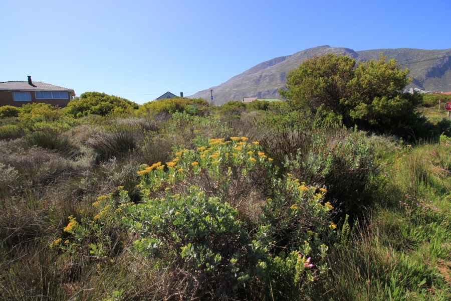 0 Bedroom Property for Sale in Bettys Bay Western Cape